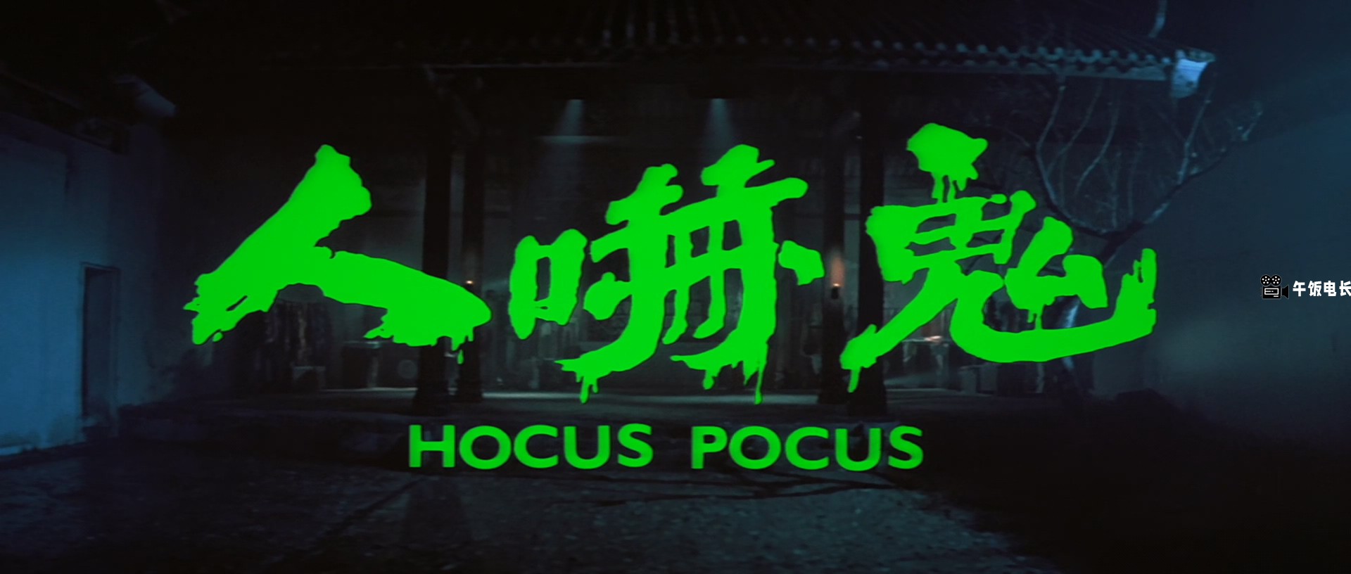Hocus.Pocus.1984.1080p.BluRay.x265.10bit.DD.2.0.2Audio-10017@BBQDDQ.COM.mkv_2024.jpg