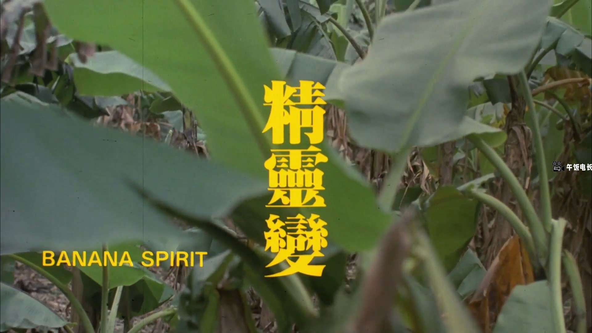 Banana.Spirit.1992.WEB-DL.1080p.H264.AAC-HOMEWEB.mp4_20241031_162449.828.jpg