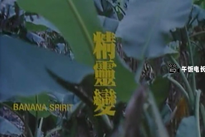 VTS_01_1.VOB(精灵变)_20241102_115034.148.jpg