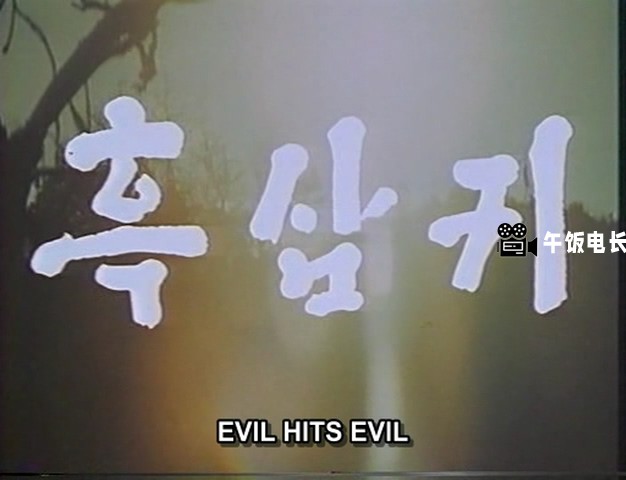 VTS_01_1.VOB(邪撞邪 Evil Hits Evil)_20241109_161038.330.jpg