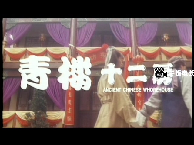 VTS_01_1.vob(青-楼-十-二-房)_20241125_160013.638.jpg